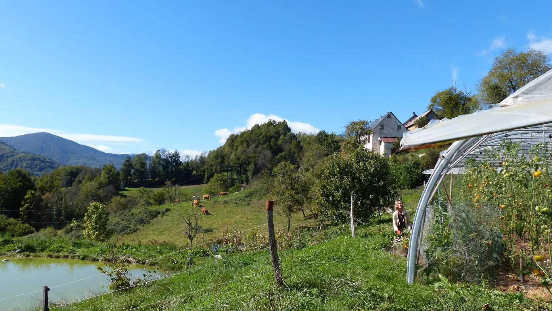 Eco-Grange Au Milieu De Notre Ferme Biologique O'Naturel Avec Sa Mare Et Son Ruisseau Massat
